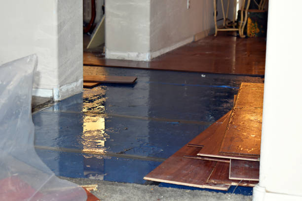 Professional Basement Water Removal technician working in Graham, TX